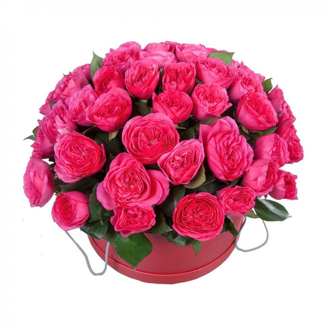 Розовый бум